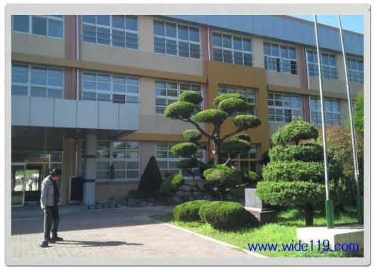 전남 보성중학교